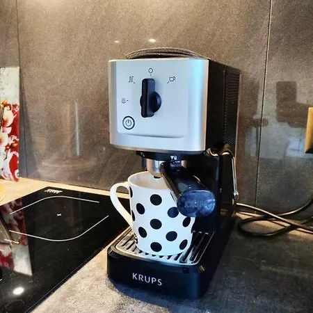 Perfect Near The + 5 Free Bikes * 派尔努