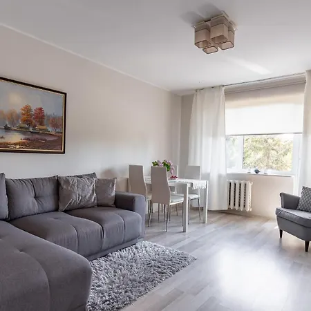 Perfect Near The + 5 Free Bikes 派尔努