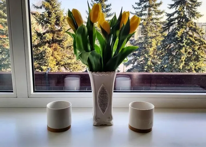 Perfect Near The + 5 Free Bikes Διαμέρισμα Παρνού